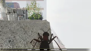 Ant Simulator