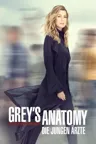 Grey's Anatomy – Staffel 22