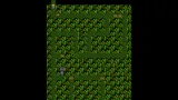 Forgotten Beginnings: A New Afterlife