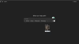 OiiAi Cat