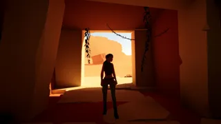 The Ruin Wanderer