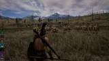 The Last King
