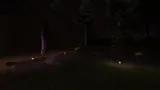 Cursed Digilens