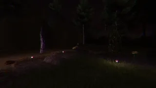 Cursed Digilens