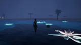 Misty Island: The Forgotten Story